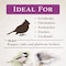 Global Harvest Foods Songbird Selections Wild Bird Nuts Bird Seed 10 lb 13636 - alternate 5
